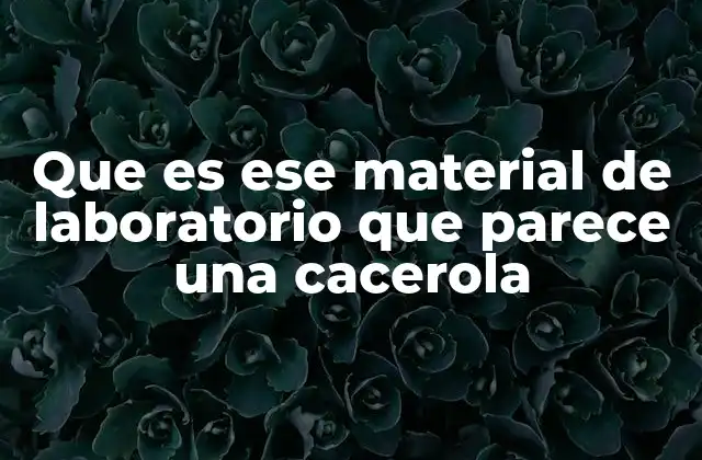 Que es Ese Material de Laboratorio que Parece una Cacerola