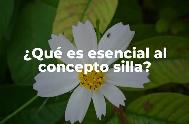 ¿qué es Esencial Al Concepto Silla?