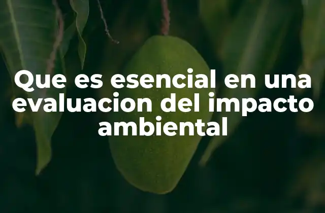 Que es Esencial en una Evaluacion Del Impacto Ambiental