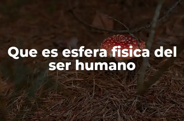 Que es Esfera Fisica Del Ser Humano