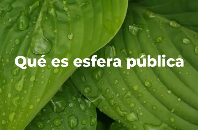 Qué es Esfera Pública