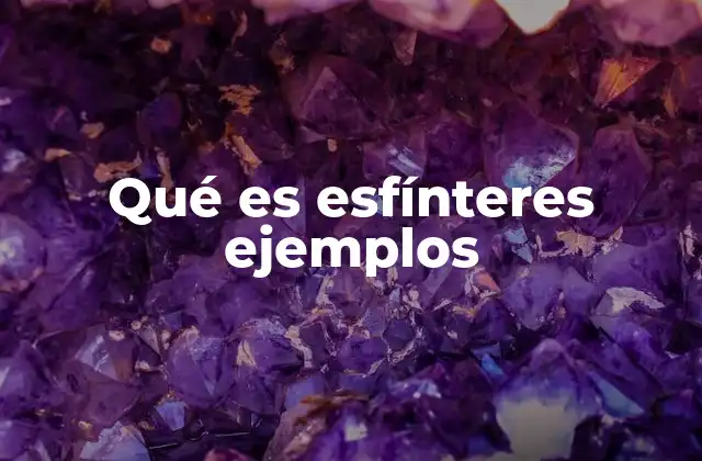 Qué es Esfínteres Ejemplos