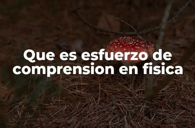 Que es Esfuerzo de Comprension en Fisica