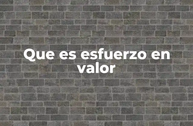 Que es Esfuerzo en Valor