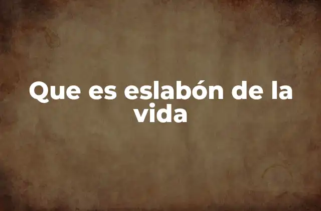 Que es Eslabón de la Vida 2 La importancia de cada enlace en la cadena de la existencia