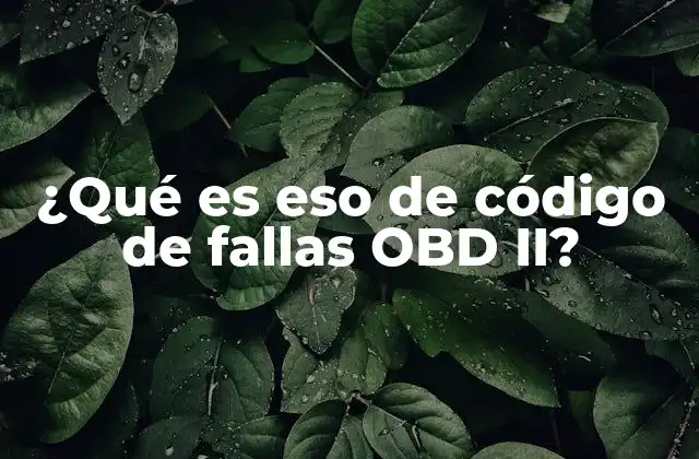 ¿qué es Eso de Código de Fallas Obd Ii?