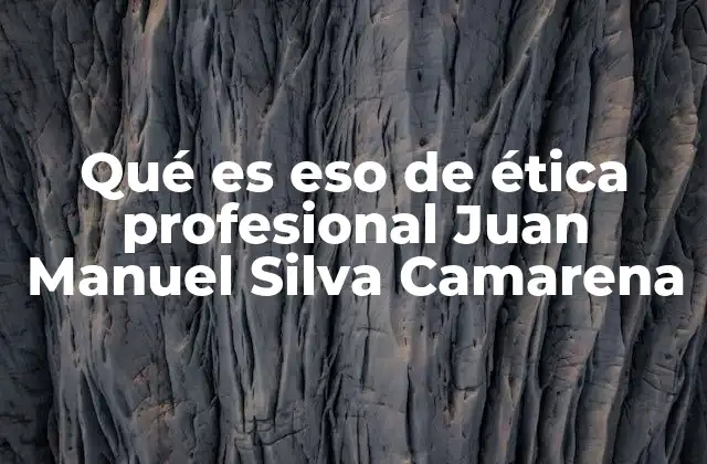 Qué es Eso de Ética Profesional Juan Manuel Silva Camarena
