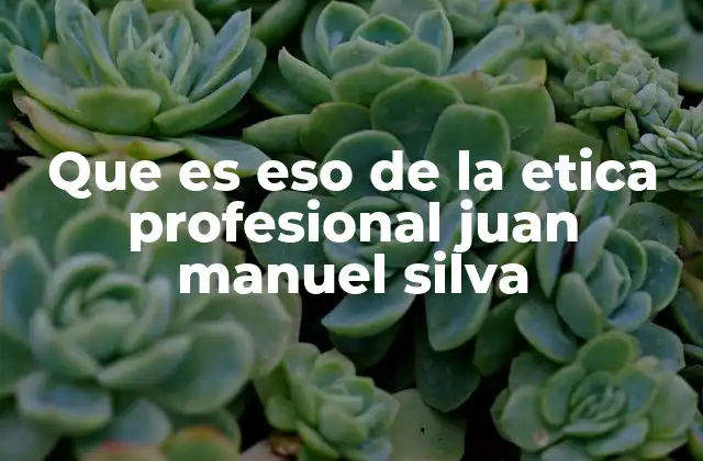 Que es Eso de la Etica Profesional Juan Manuel Silva