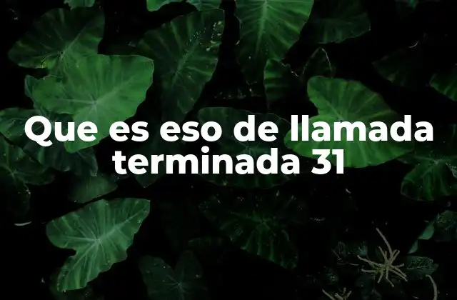 Causas comunes de la llamada terminada 31