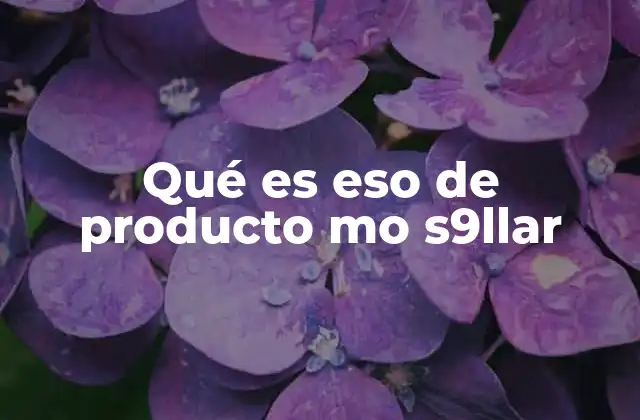 El uso de frases coloquiales en internet