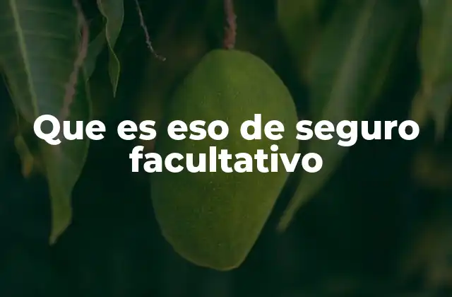 Que es Eso de Seguro Facultativo