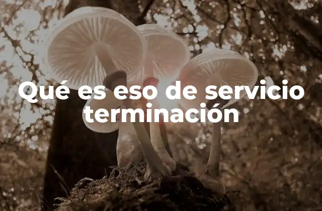 Qué es Eso de Servicio Terminación
