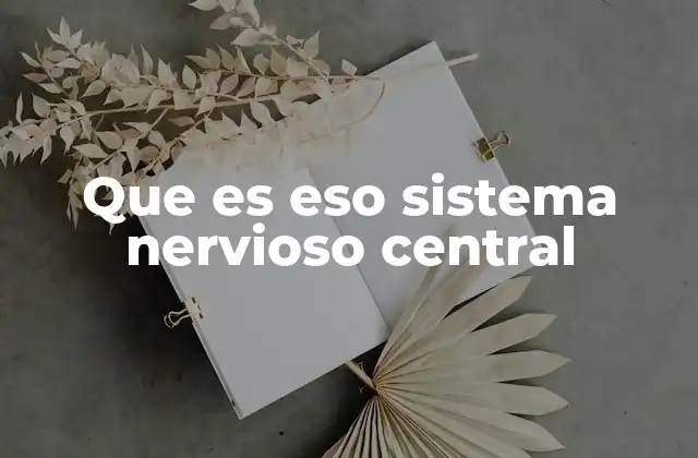 Que es Eso Sistema Nervioso Central