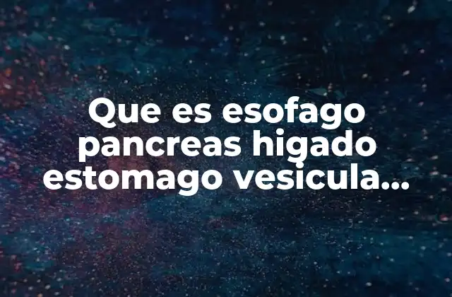 Que es Esofago Pancreas Higado Estomago Vesicula Bibliar Inttestino Grueso