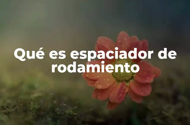 Qué es Espaciador de Rodamiento