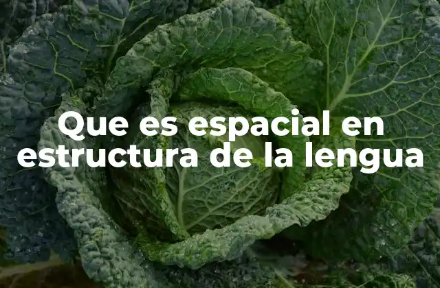 Que es Espacial en Estructura de la Lengua