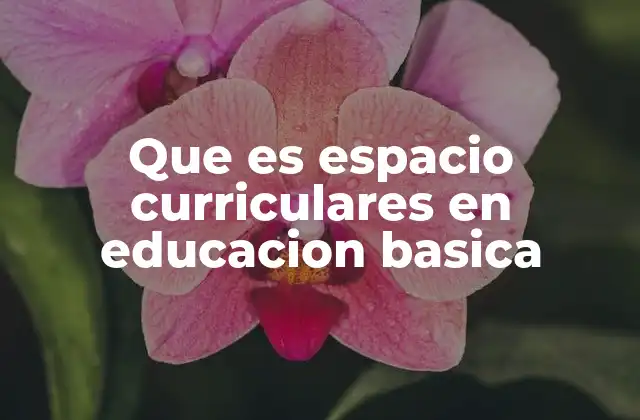 Que es Espacio Curriculares en Educacion Basica