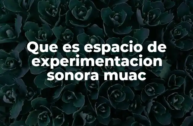 Que es Espacio de Experimentacion Sonora Muac