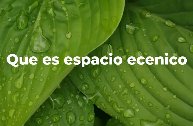 Que es Espacio Ecenico