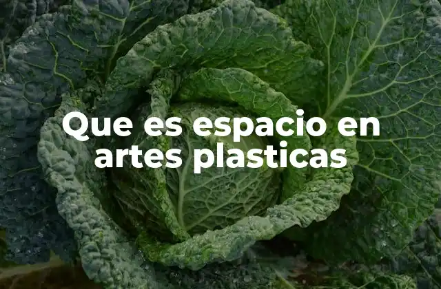 Que es Espacio en Artes Plasticas
