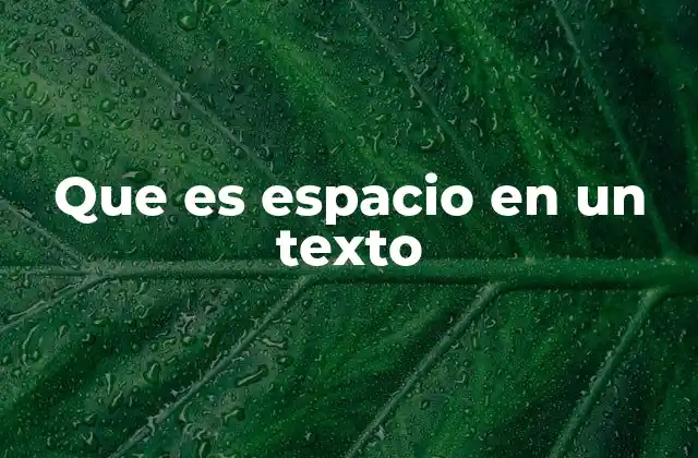 Que es Espacio en un Texto