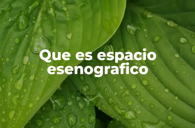 Que es Espacio Esenografico