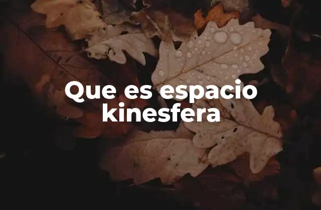 El entorno ideal para la kinesiología aplicada