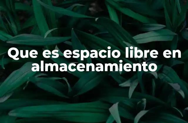 Que es Espacio Libre en Almacenamiento