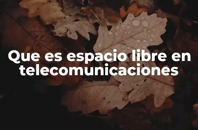 Que es Espacio Libre en Telecomunicaciones