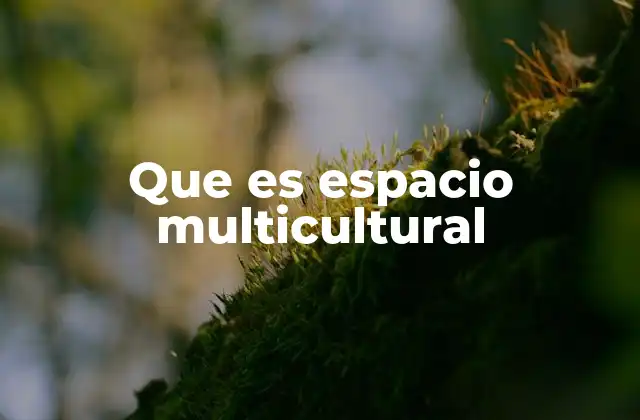 Que es Espacio Multicultural