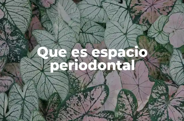 Que es Espacio Periodontal