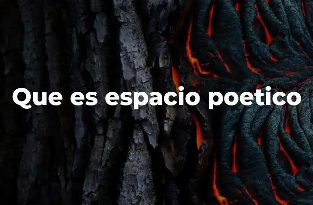 Que es Espacio Poetico