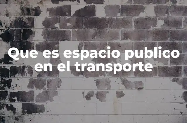 Que es Espacio Publico en el Transporte