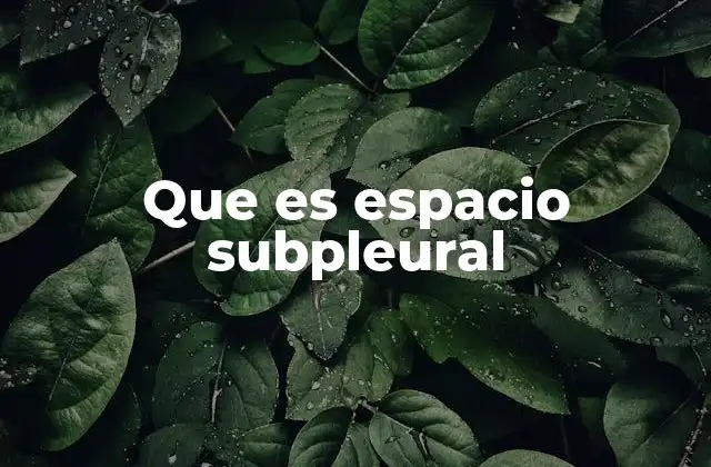Que es Espacio Subpleural