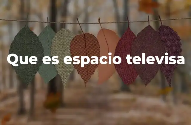 Que es Espacio Televisa