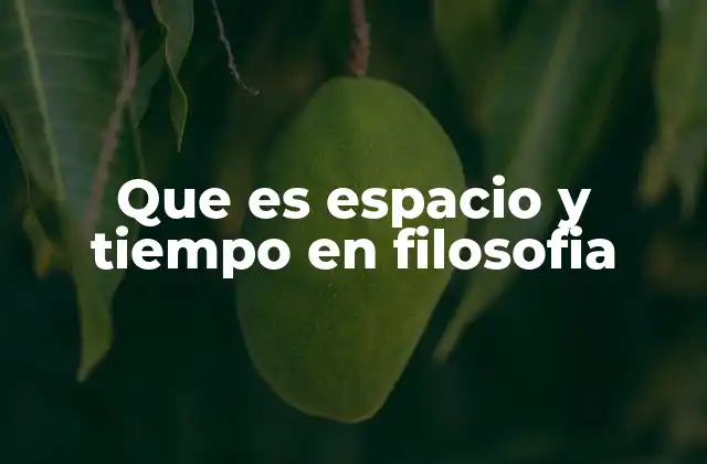 Que es Espacio y Tiempo en Filosofia