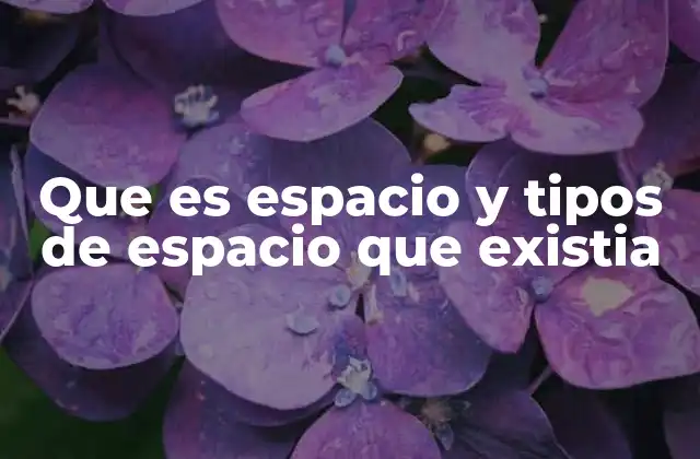 Que es Espacio y Tipos de Espacio que Existia