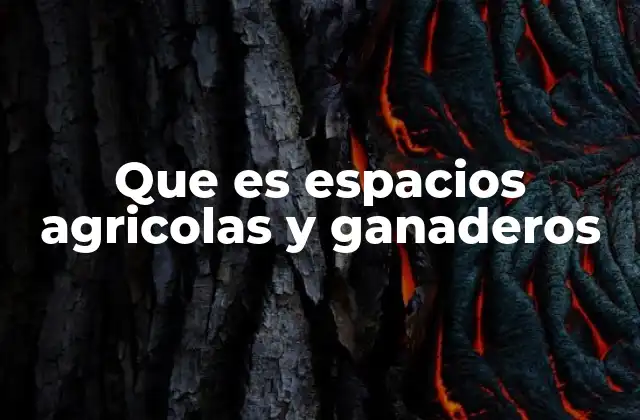 La importancia de los espacios dedicados a la producción rural