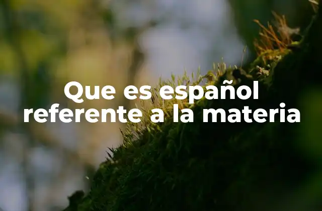 Que es Español Referente a la Materia