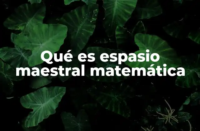 Qué es Espasio Maestral Matemática
