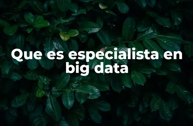 El rol del experto en análisis de datos a gran escala