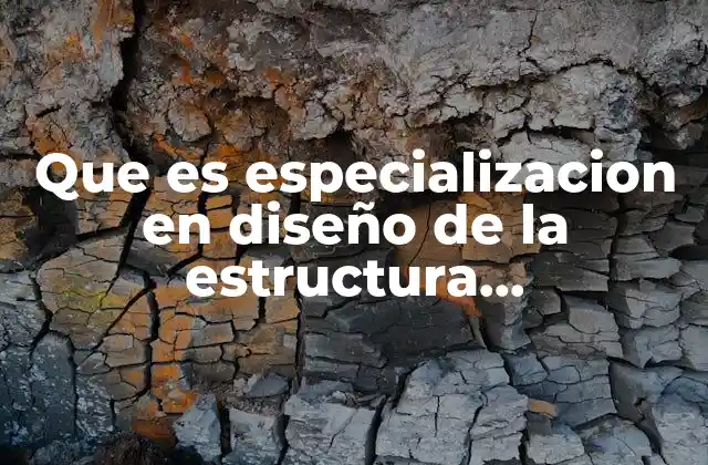Que es Especializacion en Diseño de la Estructura Organizacional