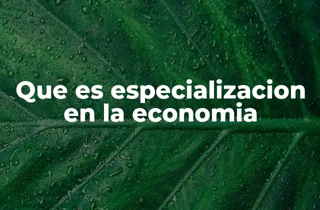 Que es Especializacion en la Economia