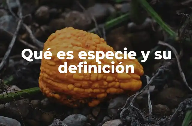 Qué es Especie y Su Definición