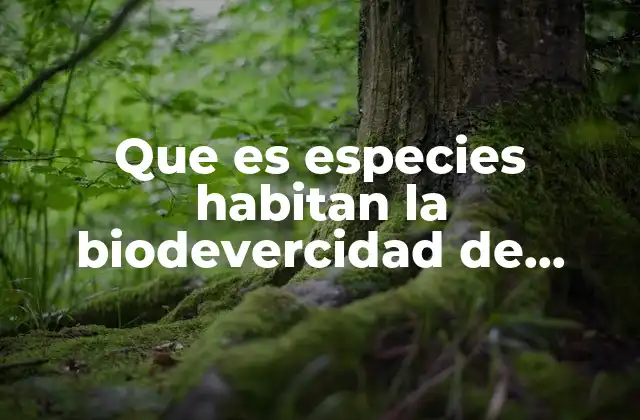 Que es Especies Habitan la Biodevercidad de Mexico