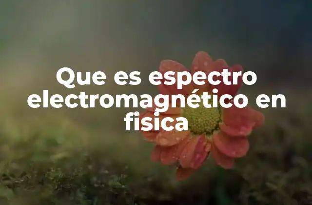 Que es Espectro Electromagnético en Fisica