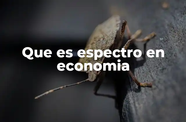 Que es Espectro en Economia
