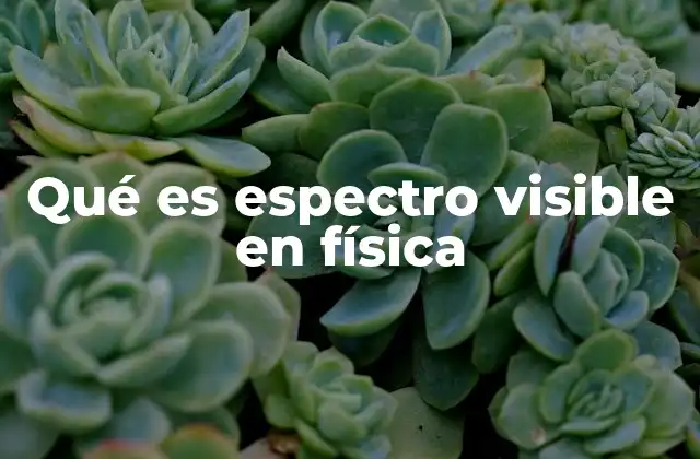 Qué es Espectro Visible en Física