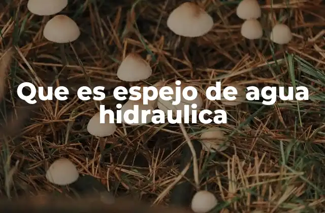 Que es Espejo de Agua Hidraulica