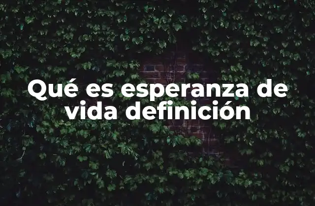 Qué es Esperanza de Vida Definición